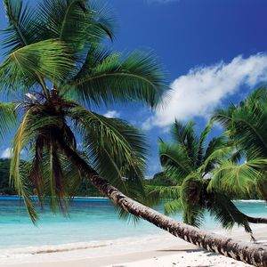 Baie Lazare Baie Lazare